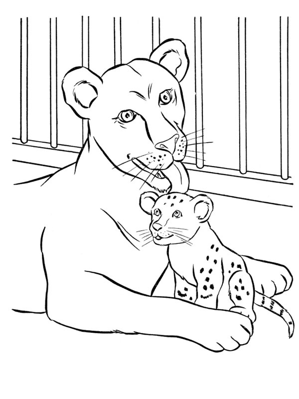 Mother lion and cub Colouring page