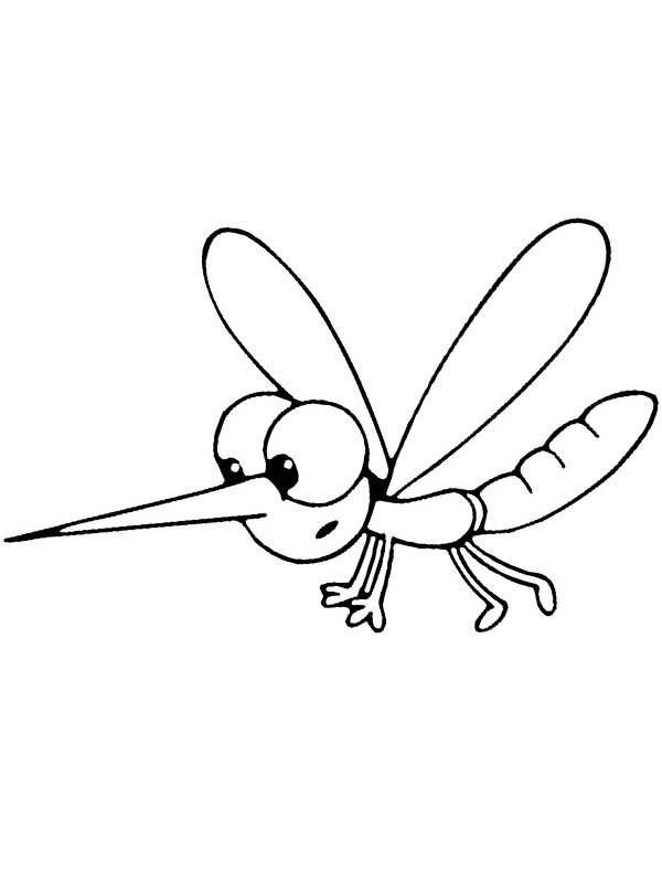 Mosquito Colouring page