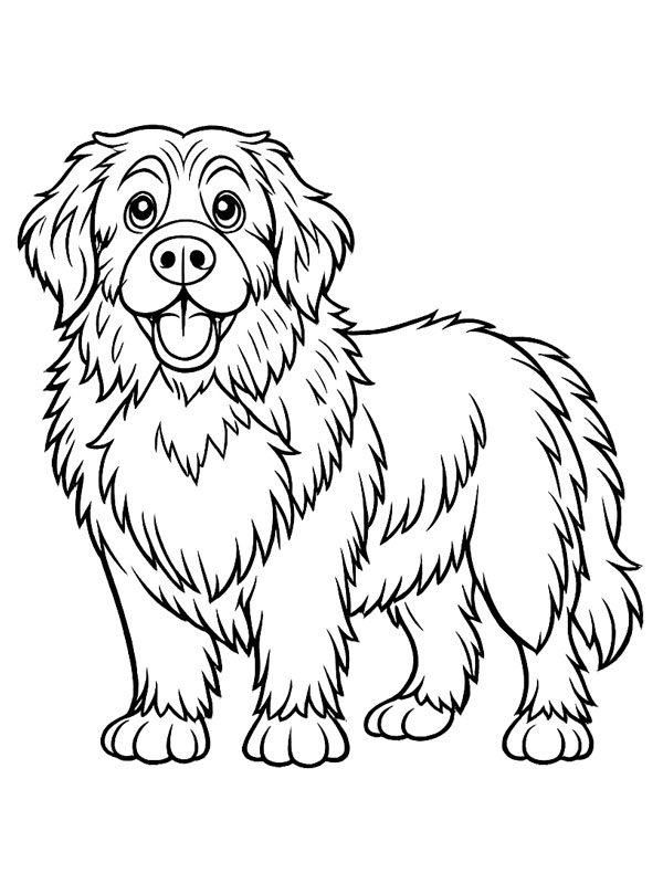 Newfoundland dog Colouring page
