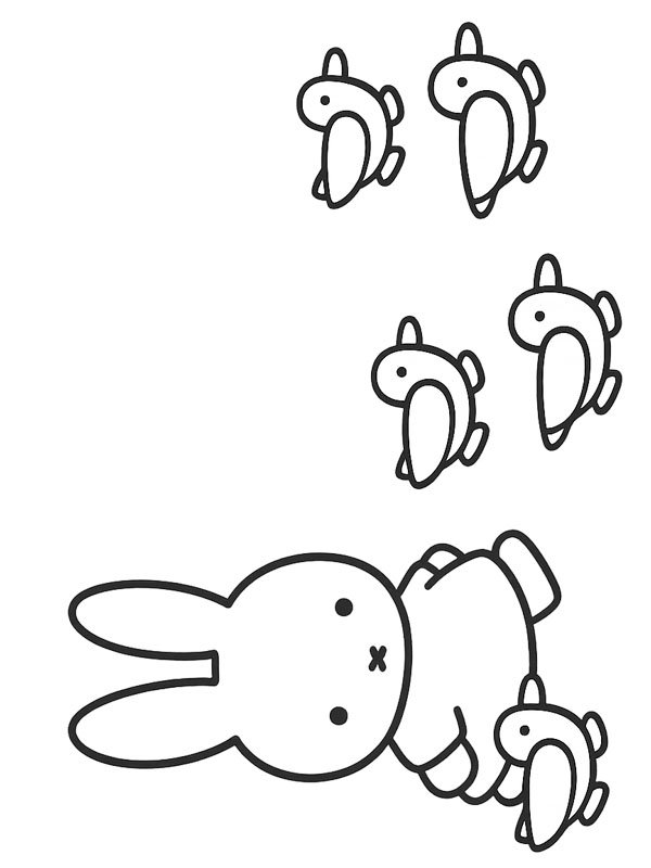 Miffy with ducks Colouring page