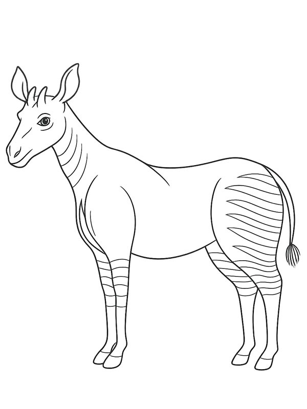 Okapi Colouring page