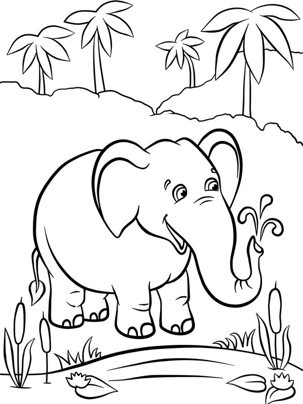 Elephant at the water Colouring page