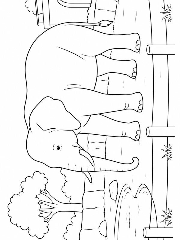 Elephant in the zoo Colouring page