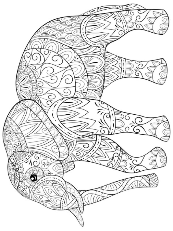 Elephant for adults Colouring page