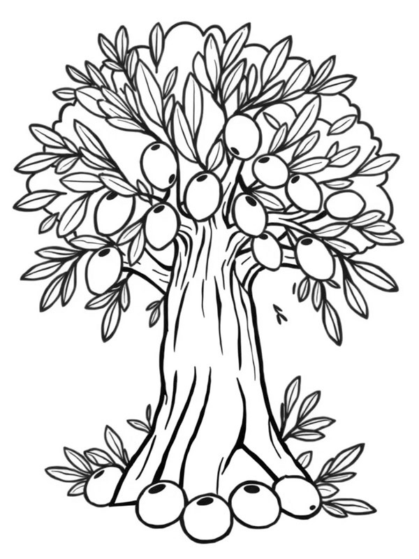 Olive tree Colouring page