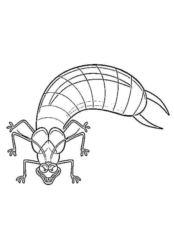 Earwig Colouring page