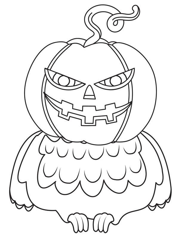 Owl pumpkin Colouring page