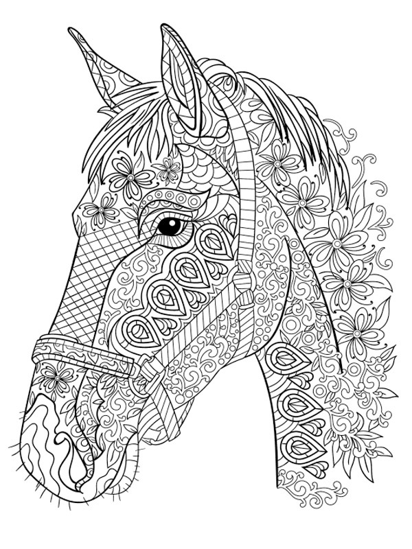 Horse head for adults Colouring page