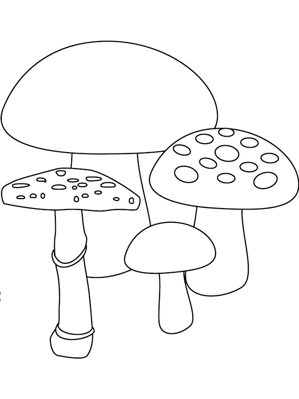 4 mushrooms Colouring page