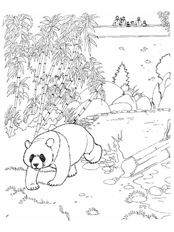 Pandabear in the zoo Colouring page