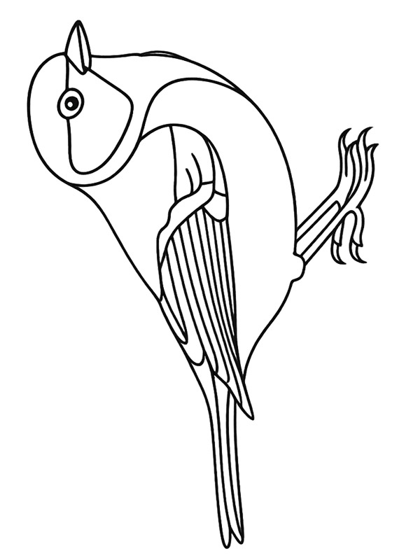 blue tit Colouring page