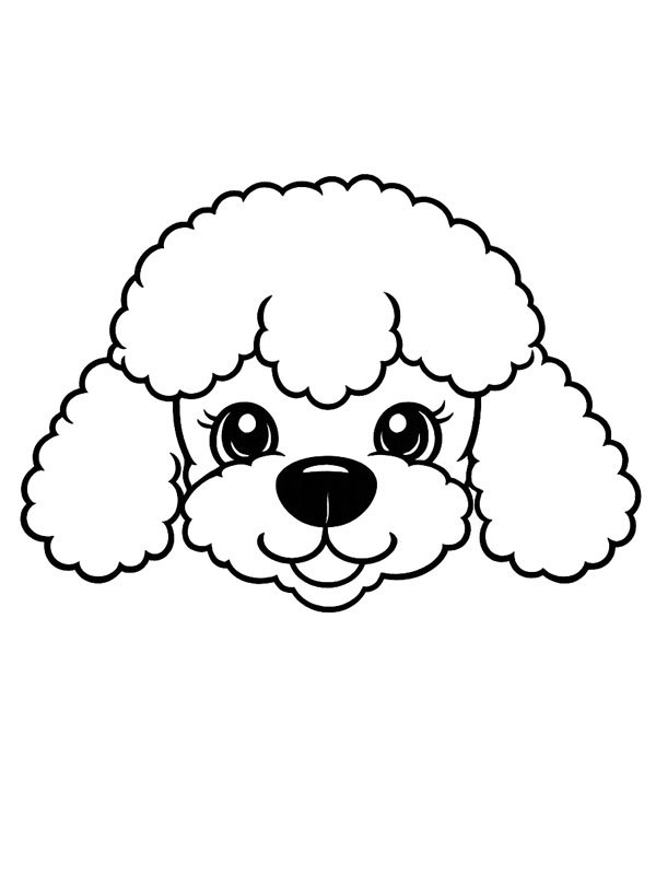 Poodle head Colouring page