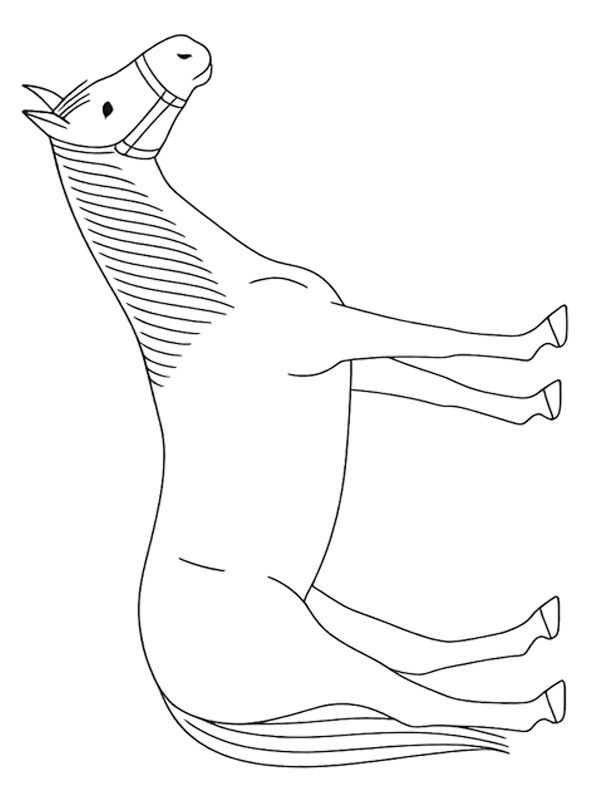 Quarter horse Colouring page