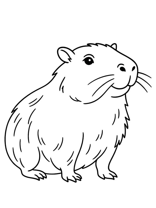 Realistic capybara Colouring page