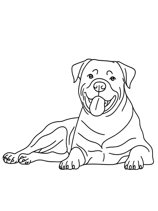 Rottweiler Colouring page