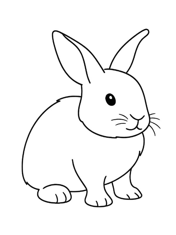 Cute rabbit Colouring page