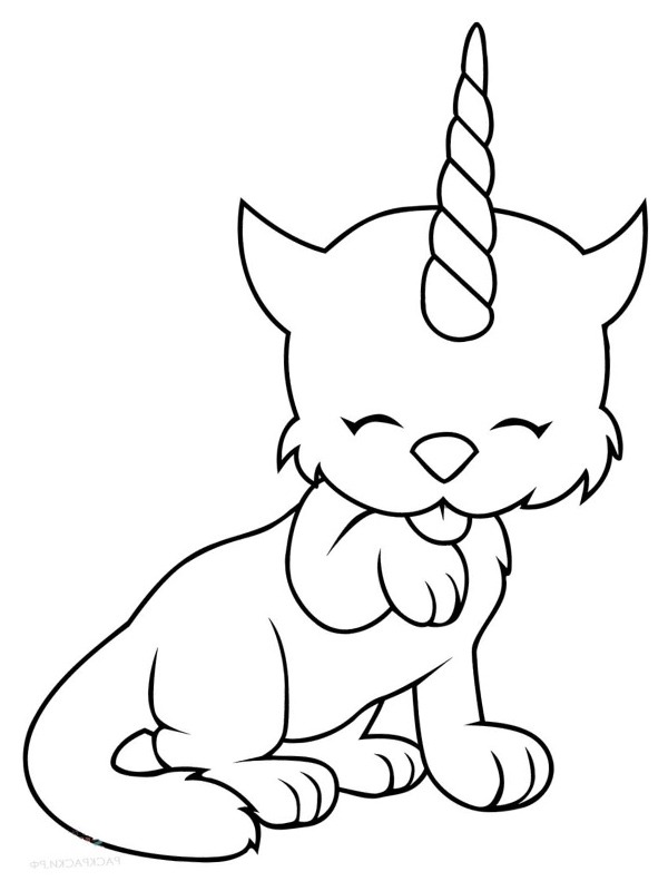 Cute unicorn cat Colouring page