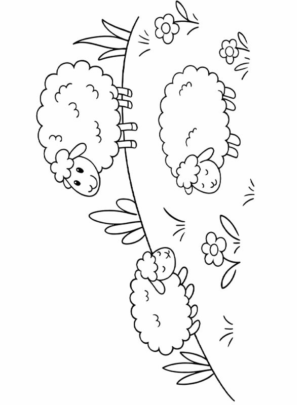 Cute sheep in the meadow Colouring page