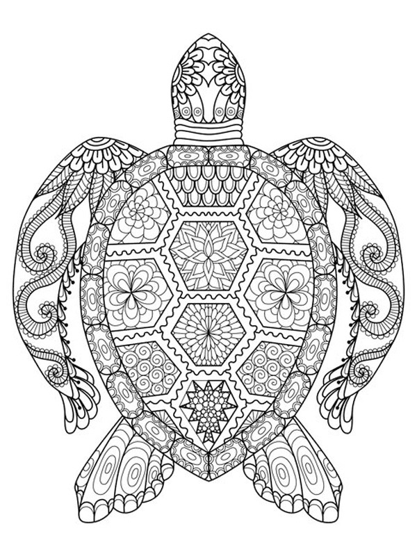 Turtle mandala tattoo Colouring page