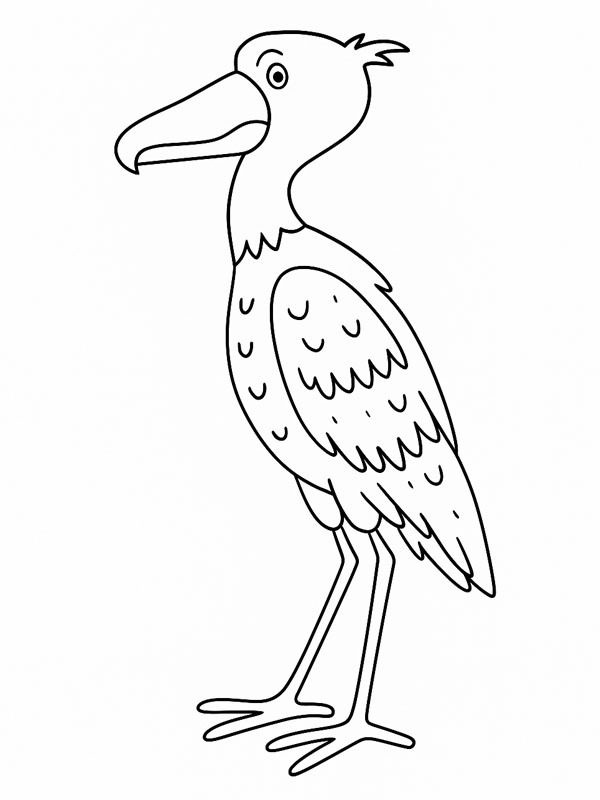 Shoebill Colouring page