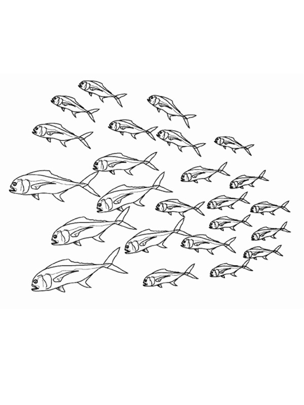School of fish Colouring page