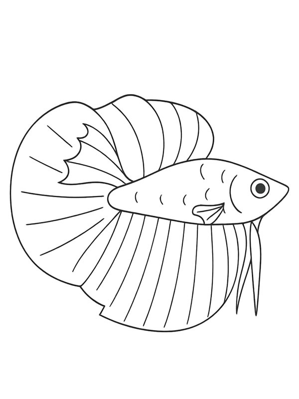 Betta Fish Colouring page
