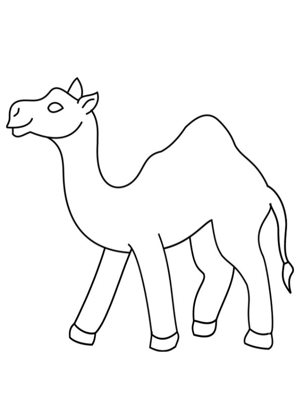Simple camel Colouring page