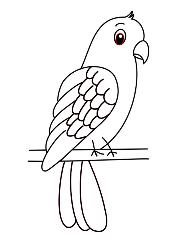 Simpel parrot Colouring page