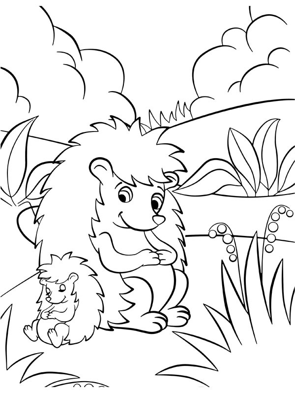 Sleeping hedgehogs Colouring page
