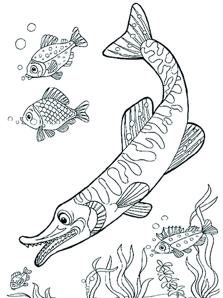 Pike Colouring page