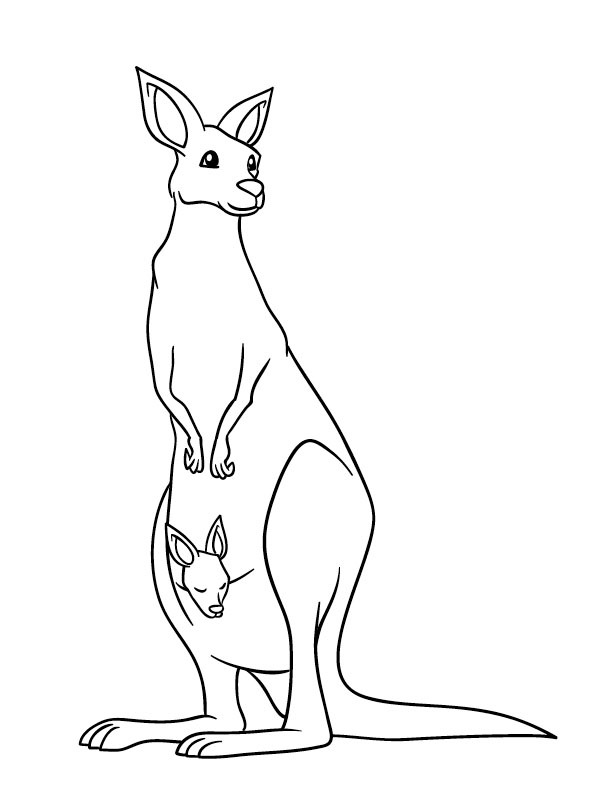 Standing kangaroo with baby Colouring page