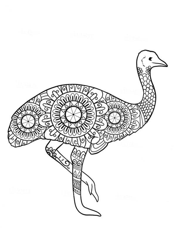 Ostrich mandala Colouring page