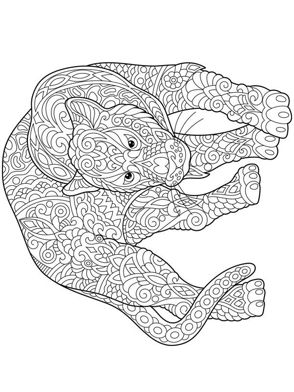 Tiger for adults Colouring page