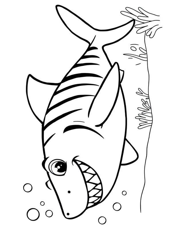 Tiger shark Colouring page
