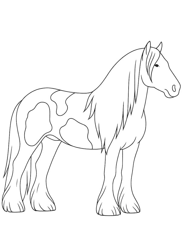 Tinker horse Colouring page