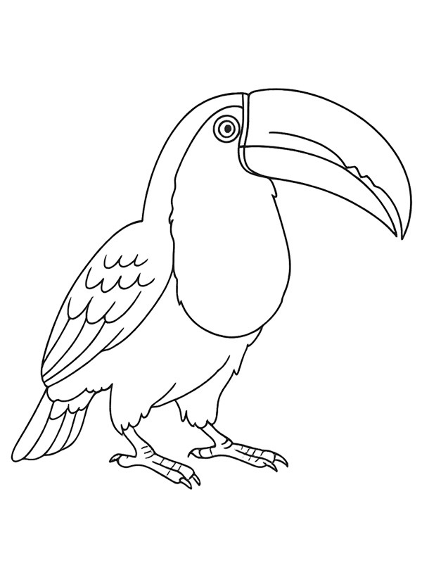 Toucan Colouring page
