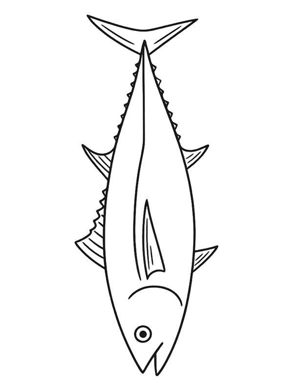 Tuna Fish Colouring page