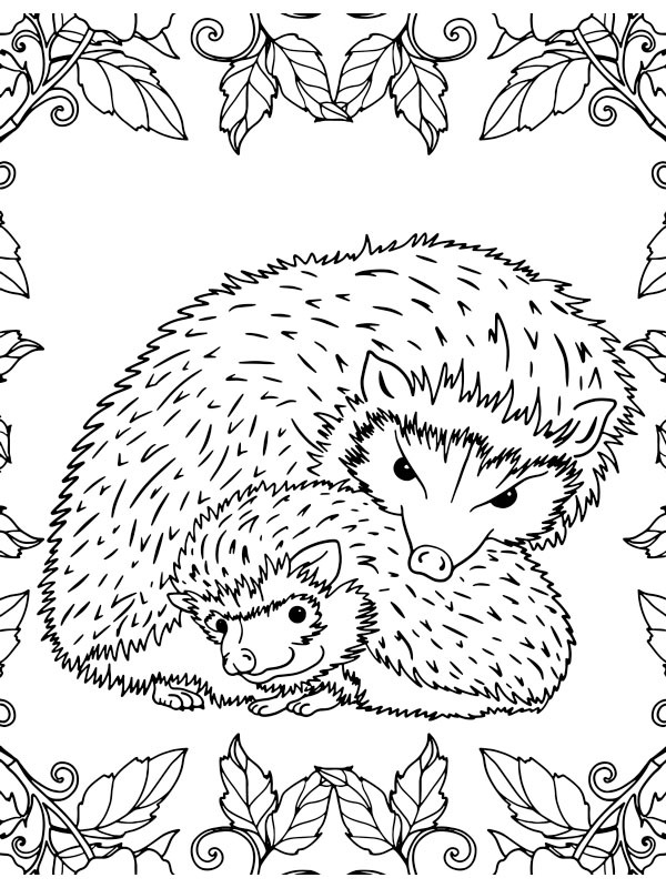 Two hedgehogs Colouring page