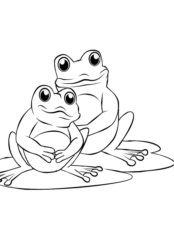 Two frogs Colouring page