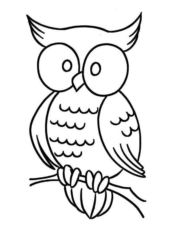 Owl Colouring page