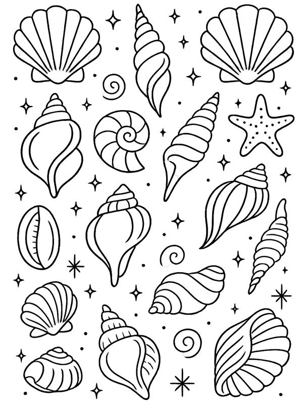 Various seashells Colouring page