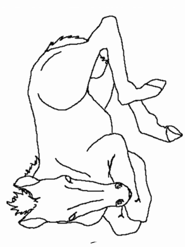foal Colouring page