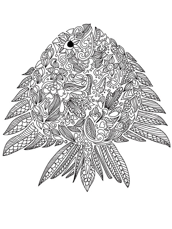 Fish adults Colouring page
