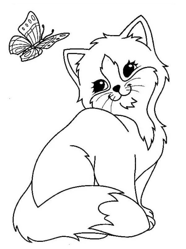 butterfly and kitten Colouring page