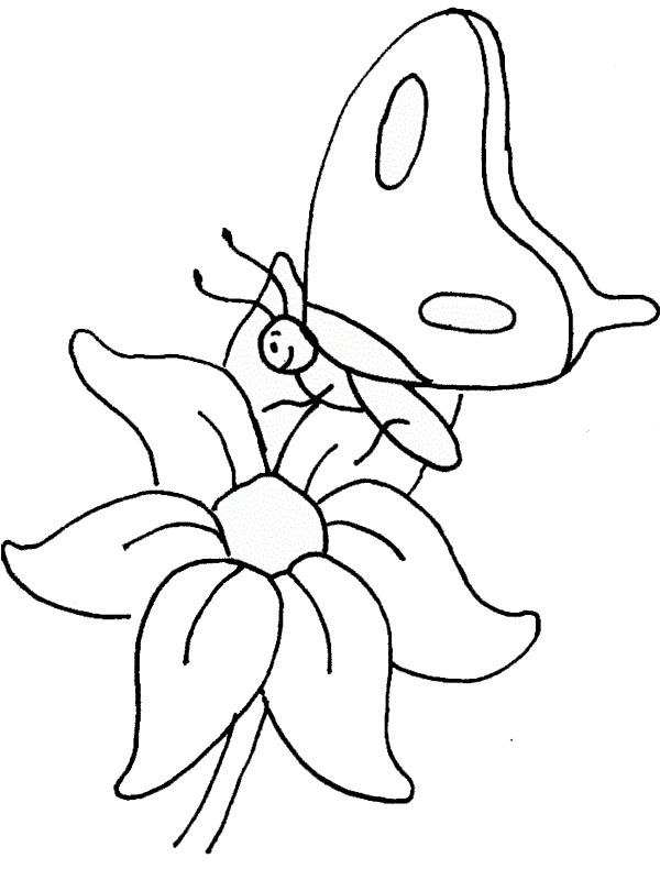 Butterfly on flower Colouring page