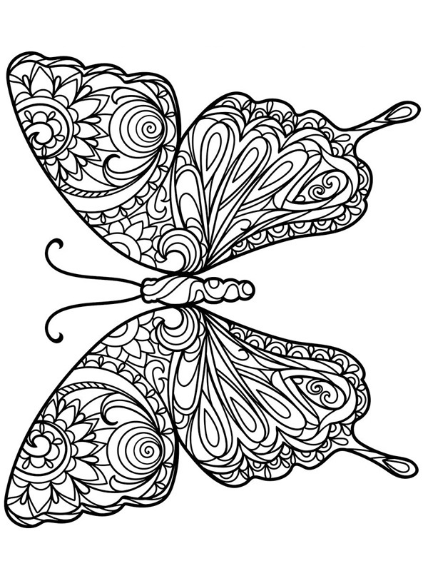 Butterfly for adults Colouring page
