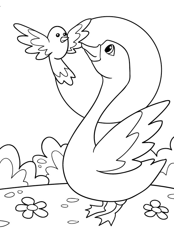 Bird and swan Colouring page