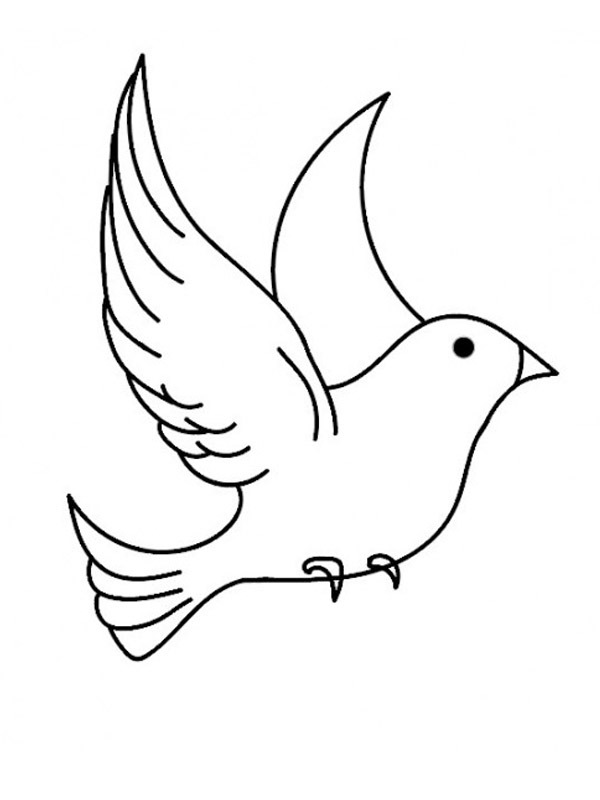 Bird Colouring page