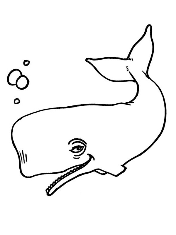 Whale Colouring page