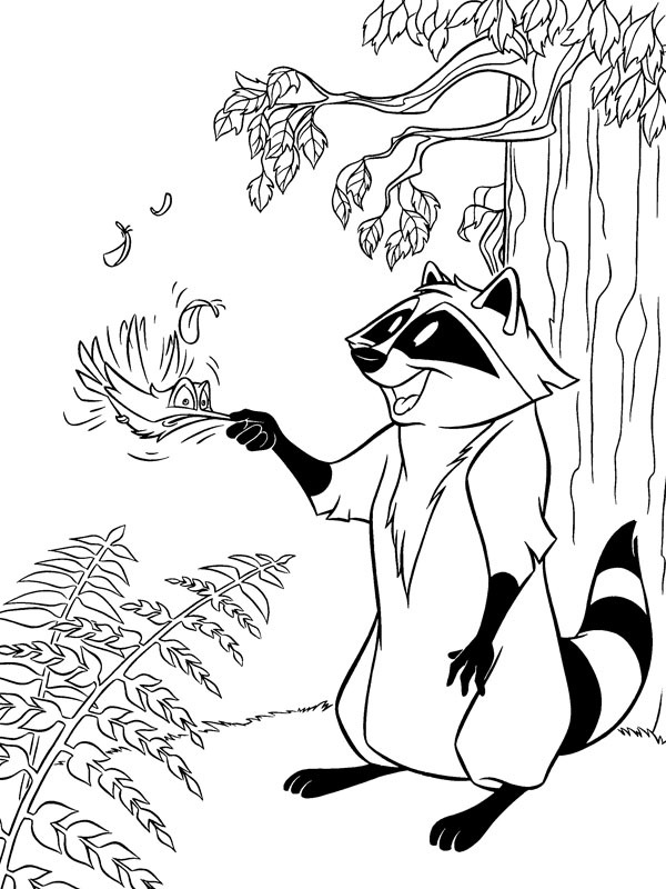 Raccoon Meeko and hummingbird Flit Colouring page Raccoon Meeko and hummingbird Flit Colouring page